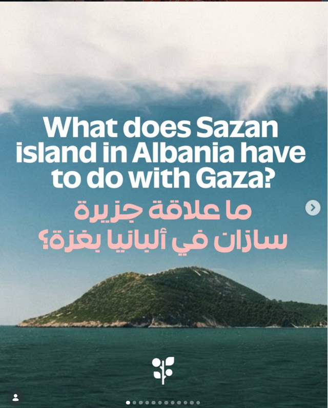 FOTOT/ Pse vjen “flotilja” palestineze për t’i u bashkuar flamingove në Shqipëri?