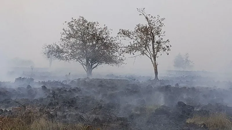 Flakët përfshijnë rezervatin më të madh natyror të Belgjikës, banorët urdhërohen të evakuohen Flakët përfshijnë rezervatin më të madh natyror të Belgjikës, banorët urdhërohen të evakuohen