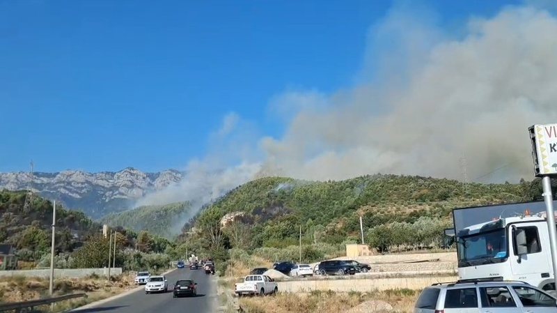“Trimërohen piromanët”! Djegin por edhe tentojnë të vrasin falë inkurajimit nga padrejtësia! Zjarrvënsi qëllon drejt zjarrfikësave në Krastë të Krujës për të ndaluar fikjen e zjarreve “Trimërohen piromanët”! Djegin por edhe tentojnë të vrasin falë inkurajimit nga padrejtësia! Zjarrvënsi qëllon drejt zjarrfikësave në Krastë të Krujës për të ndaluar fikjen e zjarreve