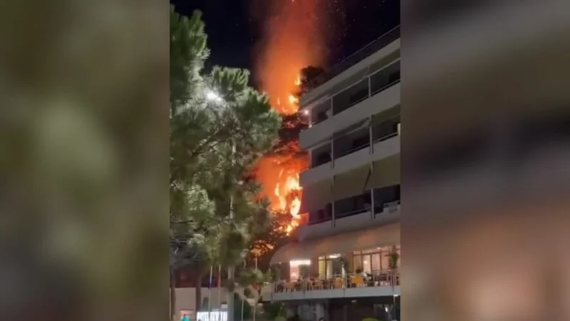 Vihet në kontroll pas 30 minutash zjarri në Ujin e Ftohtë, rrezikoi restorante e hotele, turistët u larguan të alarmuar Vihet në kontroll pas 30 minutash zjarri në Ujin e Ftohtë, rrezikoi restorante e hotele, turistët u larguan të alarmuar