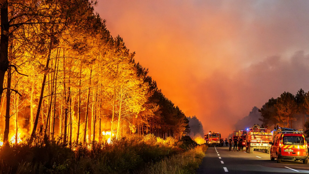 Europa digjet nga vapa ekstreme! “Thyhen” rekordet e temperaturave, mijëra viktima nga nxehtësia Europa digjet nga vapa ekstreme! “Thyhen” rekordet e temperaturave, mijëra viktima nga nxehtësia
