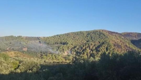 Frakulli i Fierit në qetësi pas flakëve që dogjën 6 fshatra: Ndërhyhet në një pikë zjarri Frakulli i Fierit në qetësi pas flakëve që dogjën 6 fshatra: Ndërhyhet në një pikë zjarri