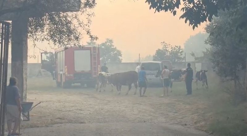 VIDEO/ Pamje apokaliptike nga zjarri në Levan – Fier, digjen tre banesa dhe evakuohen familjet VIDEO/ Pamje apokaliptike nga zjarri në Levan – Fier, digjen tre banesa dhe evakuohen familjet