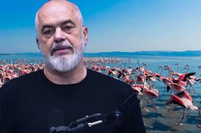 Rama: Për punë javësh do të publikohet projekti i Sazanit dhe Nartë-Pishë Poro Rama: Për punë javësh do të publikohet projekti i Sazanit dhe Nartë-Pishë Poro