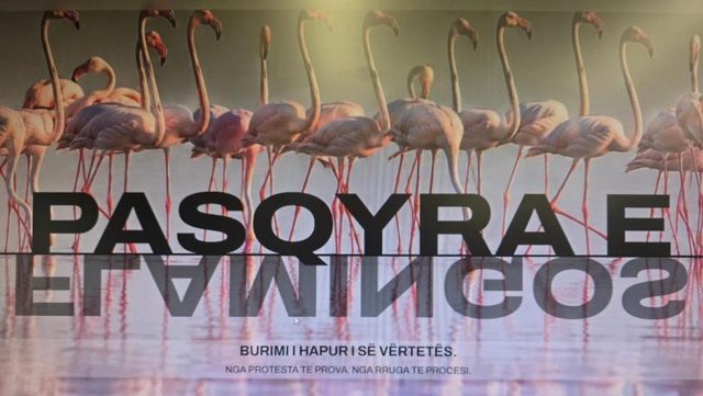 Prezantohet ‘Flamingo Mirror’, publikohen dokumentet për Sazanin dhe Zvërnecin! Rama: Së shpejti ‘dosja’ e Kayo Prezantohet ‘Flamingo Mirror’, publikohen dokumentet për Sazanin dhe Zvërnecin! Rama: Së shpejti ‘dosja’ e Kayo