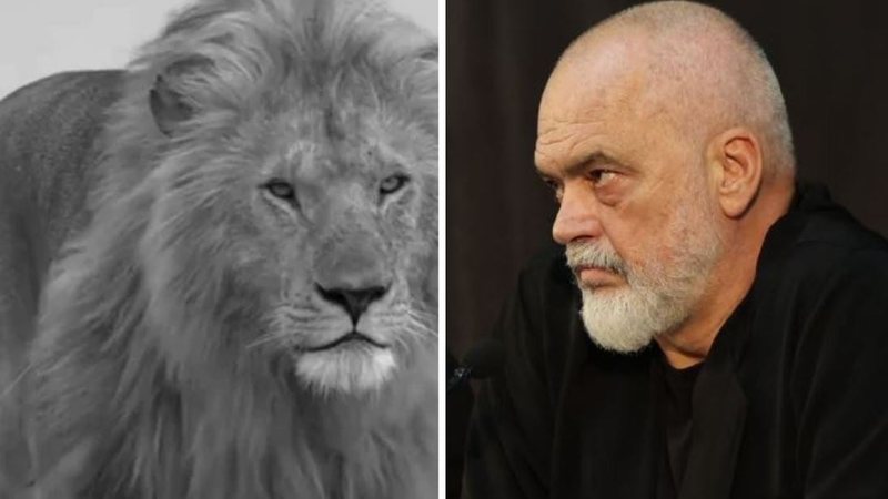 “S’do lejoj njerëzit e gabuar të pengojnë përmbushjen e qëllimit”! Rama mesazh me IA: Jo të gjithë ata që ecin pranë teje, e vazhdojnë rrugën me ty! “S’do lejoj njerëzit e gabuar të pengojnë përmbushjen e qëllimit”! Rama mesazh me IA: Jo të gjithë ata që ecin pranë teje, e vazhdojnë rrugën me ty!