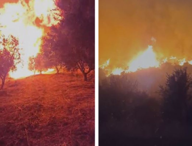 Situatë e rënduar nga zjarret në Peqin, qindra forca në terren, pritet ndërhyrja nga ajri Situatë e rënduar nga zjarret në Peqin, qindra forca në terren, pritet ndërhyrja nga ajri