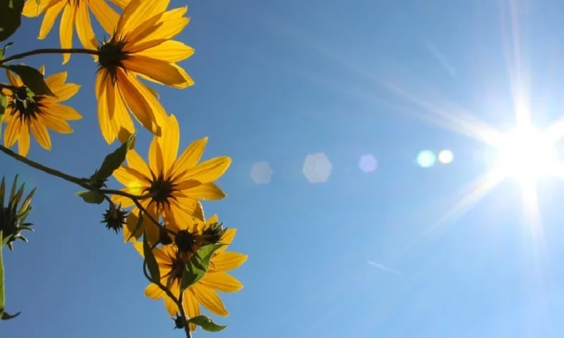 Vera zgjatet në Shqipëri, raporti: Deri në 25 ditë më shumë me temperaturë mbi 25°C! Vera zgjatet në Shqipëri, raporti: Deri në 25 ditë më shumë me temperaturë mbi 25°C!